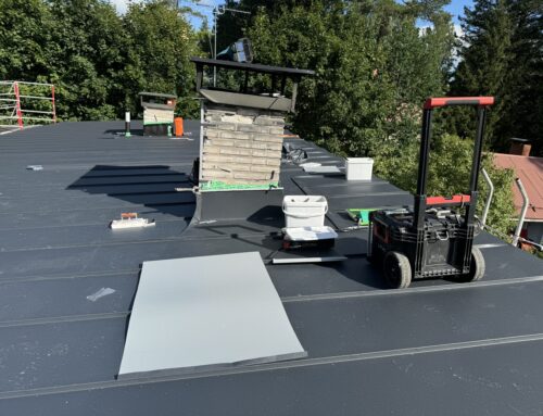 Konesaumakatto – Yli sadan vuoden suoja talollesi